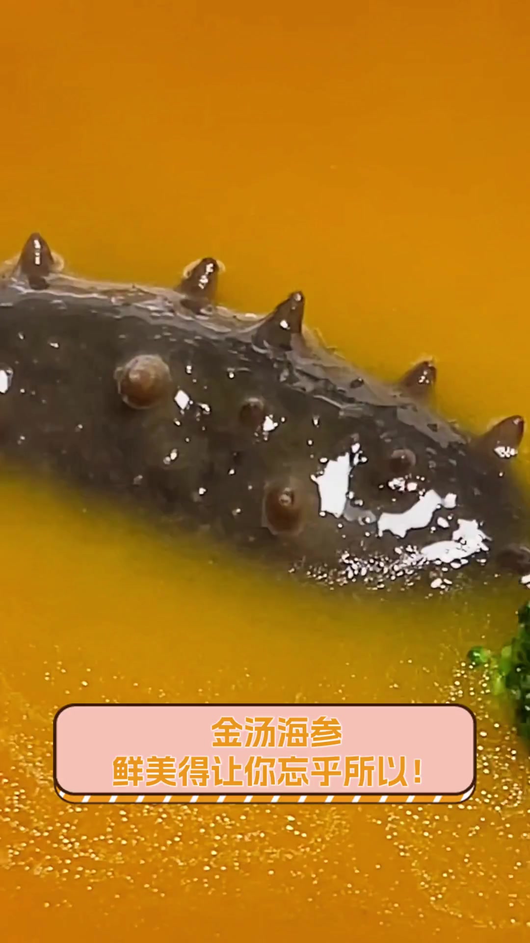 金汤海参,鲜美得让你忘乎所以!
