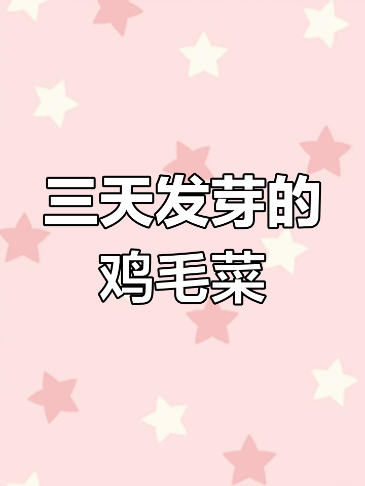 鸡毛菜:三天发芽,二十天收获,鲜嫩美味又好管理