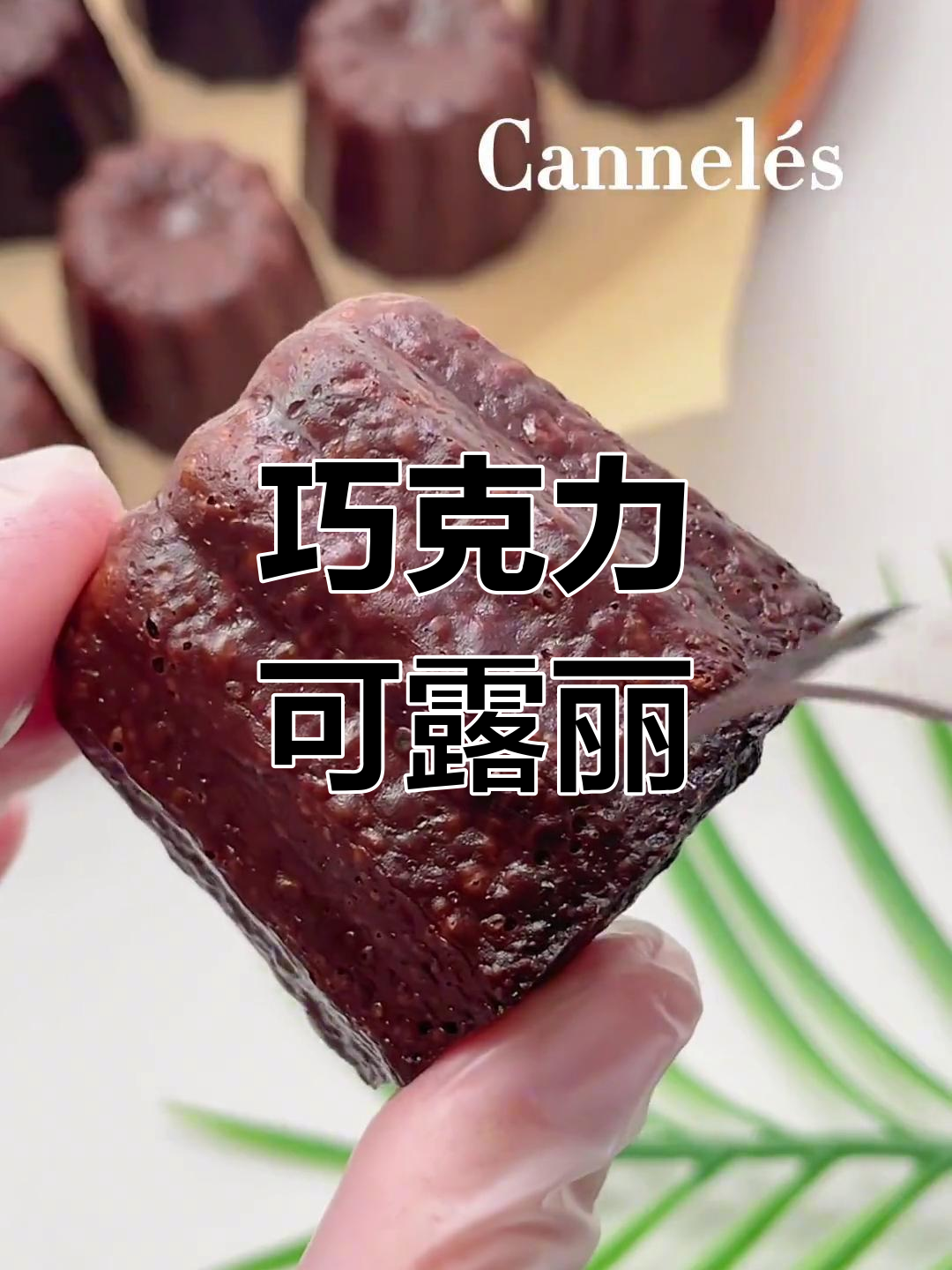 法国经典巧克力可露丽与常温蛋糕