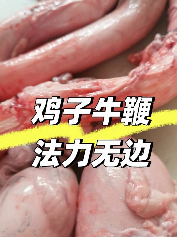 鸡子牛鞭 壮阳 补腰强腰健肾 鸡腰子 鸡子