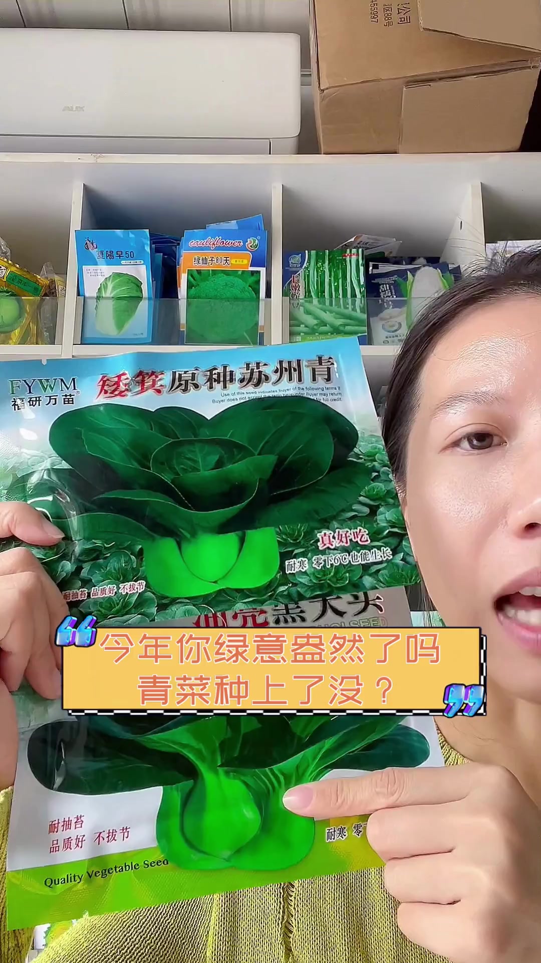 今年你绿意盎然了吗,青菜种上了没?