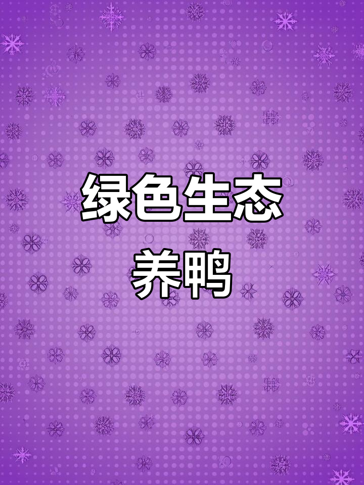 科学养殖优质鸭苗，助力农村创业