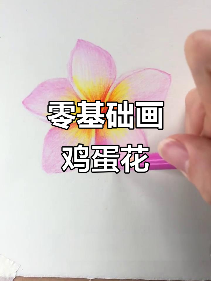 零基础彩铅：轻松画出鸡蛋花，步骤超简单