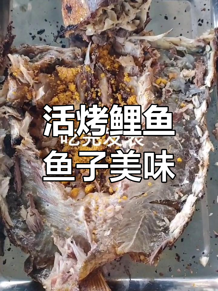火烤三斤鲤鱼,鱼籽超赞!这个季节吃最合适