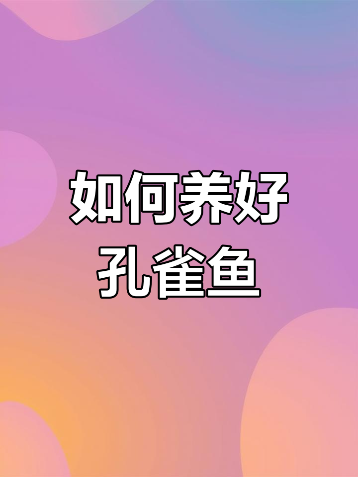 孔雀鱼养殖技巧:水温、食物与混养注意事项
