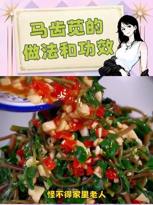 马齿苋也叫“长寿菜”,是最好吃的野菜之一