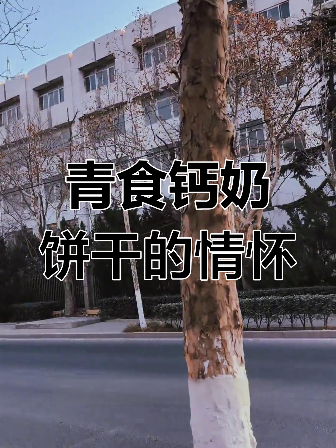 青岛食品厂:钙奶饼干背后的乡愁记忆