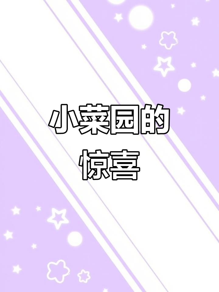偶然探访小菜园,菜品美味,环境舒适,服务超赞!