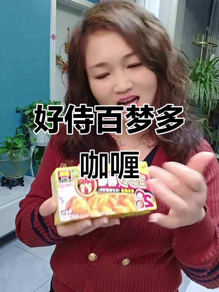 百梦多咖喱块,轻松做出美味咖喱虾、炒饭和炖鸡肉