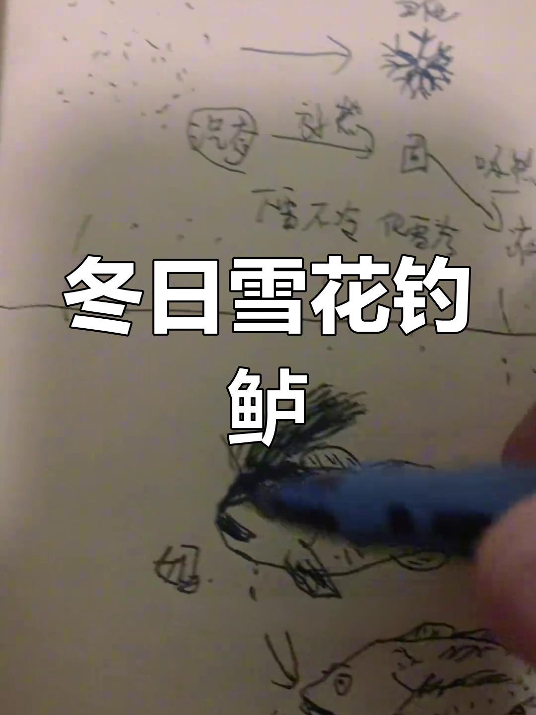 下雪天钓鱼,冷到不行!鲈鱼妈妈和傻芦的冰雪冒险