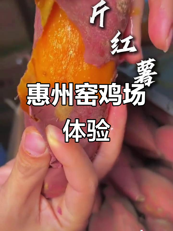 惠州永城庄园：冬日农家窑鸡与红薯盛宴，团建家庭出游首选