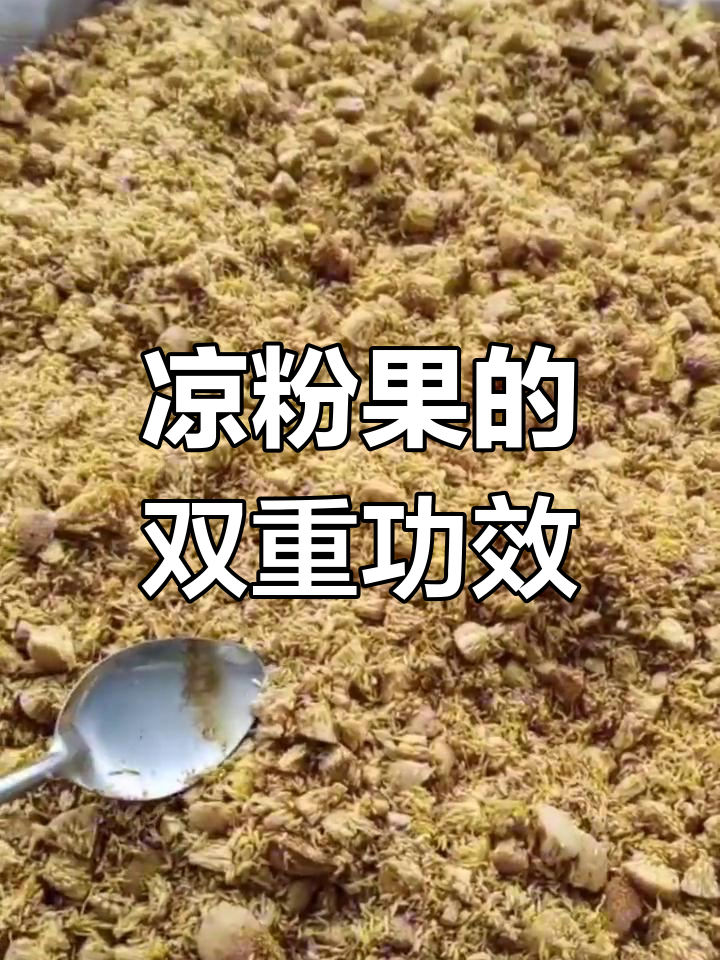 凉粉果:夏季消暑又药用,轻松采摘制作