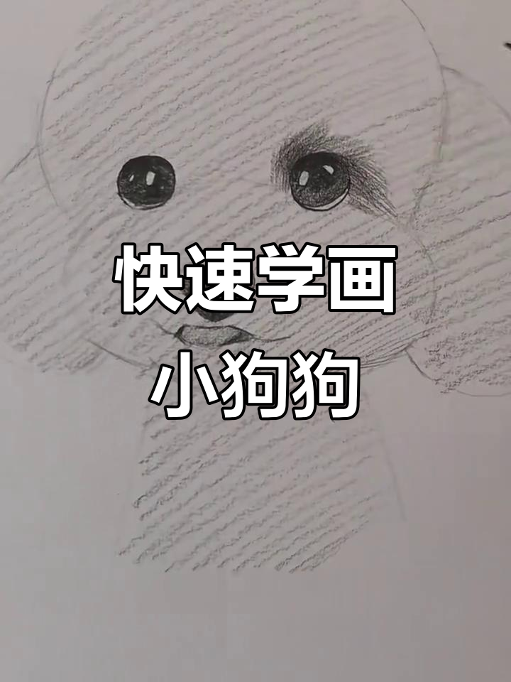 超简单泰迪素描步骤，轻松画出可爱小狗