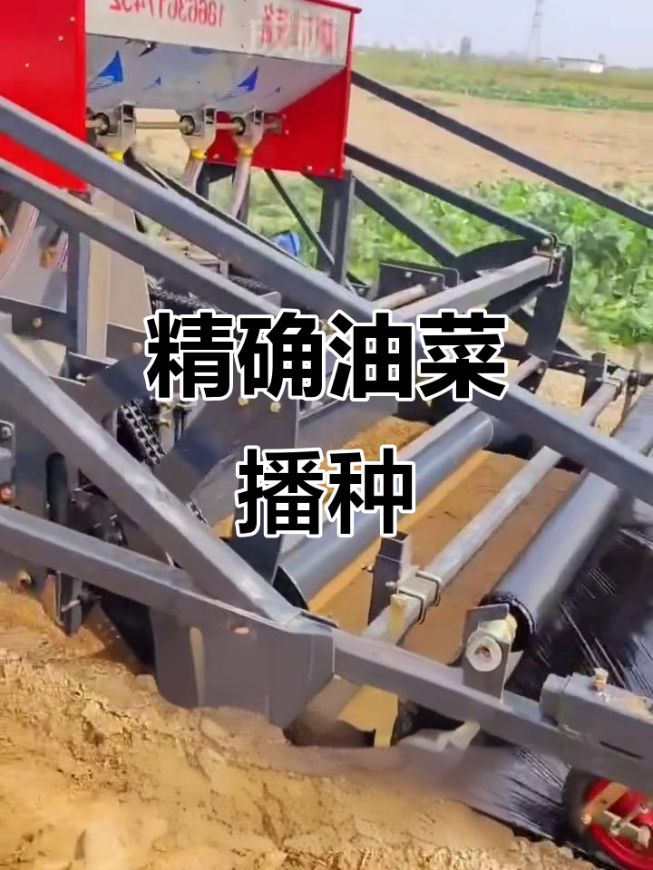 油菜播种机精准起垄,每穴2-3粒高效种植