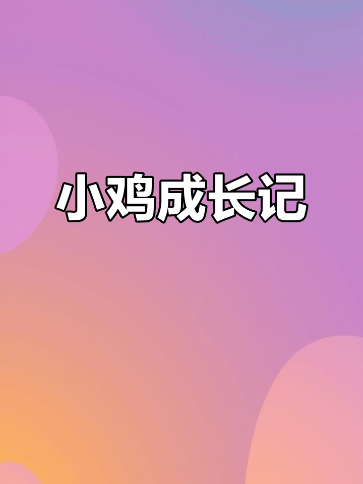 这些小鸡长大后能生蛋,不同品种各有特色
