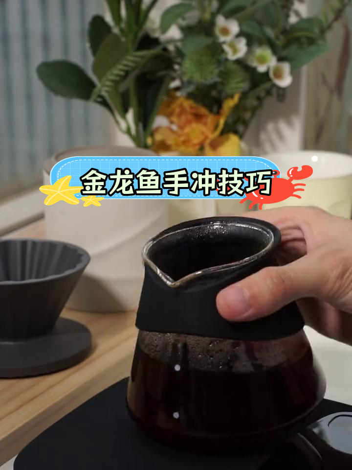 1:1:1金龙鱼冲法,完美萃取咖啡