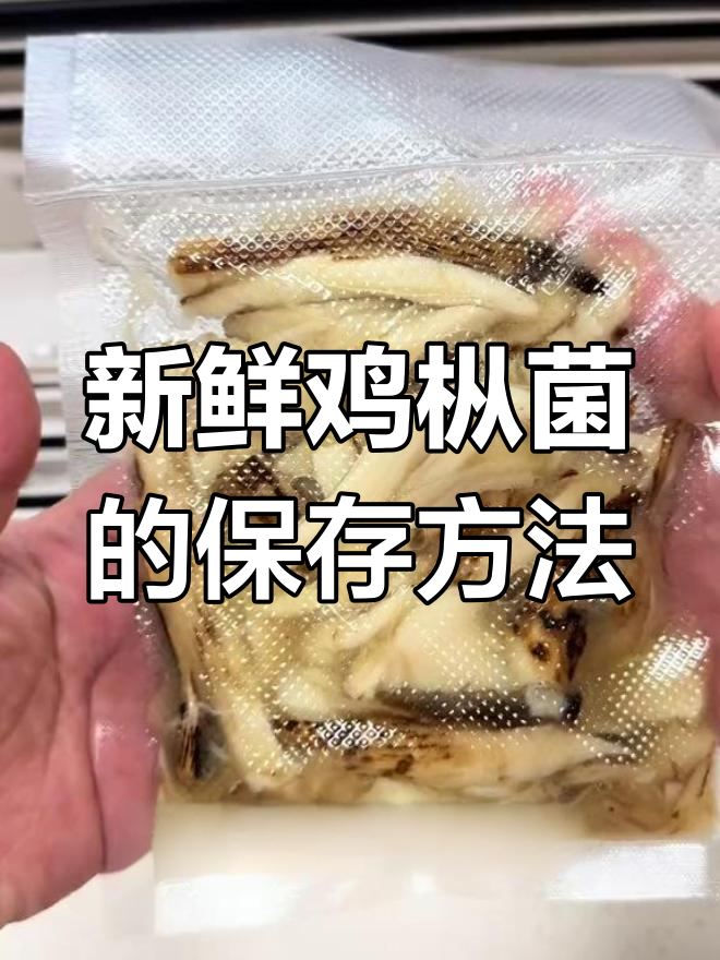 鸡枞菌保存新法,冷冻也能保持鲜美