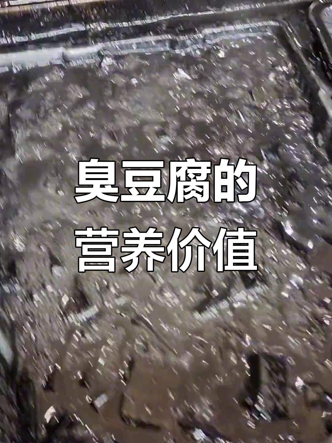 长沙臭豆腐:植物性乳酸菌与营养的完美结合