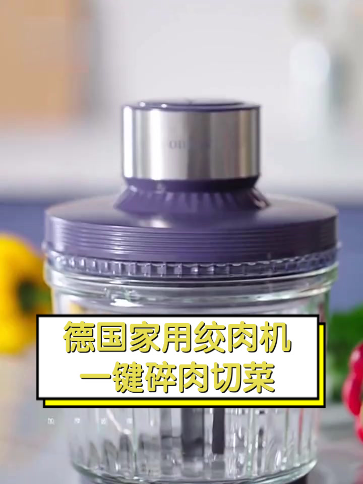 德国家用绞肉机,一键碎肉切菜