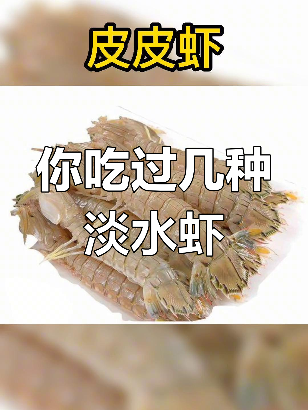 淡水虾种类大盘点