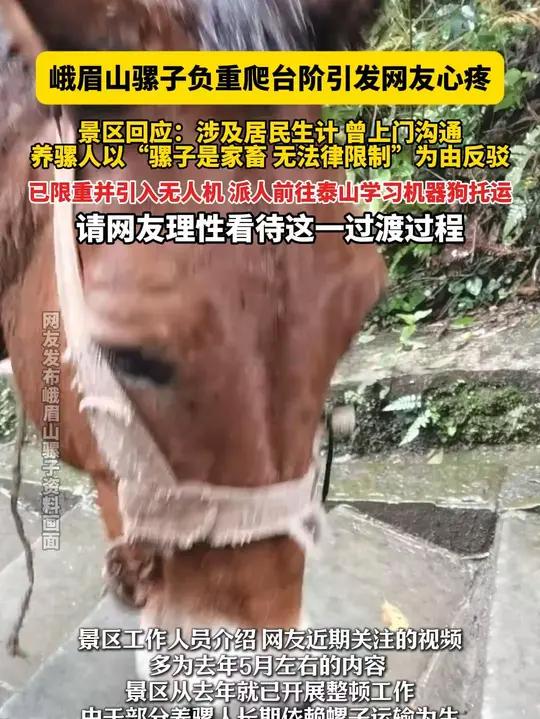 7月30日 四川峨眉山,峨眉山骡子负重爬台阶引发网友心疼,景区回应:涉及居民生计 曾上门沟