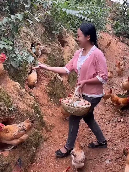 「伏羲山50枚」山林散养土鸡蛋