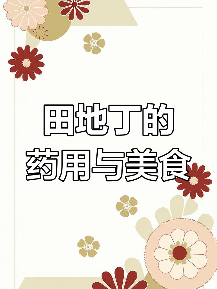 米口袋:甜地丁的神奇药用与食用价值,春季嫩叶可做野菜