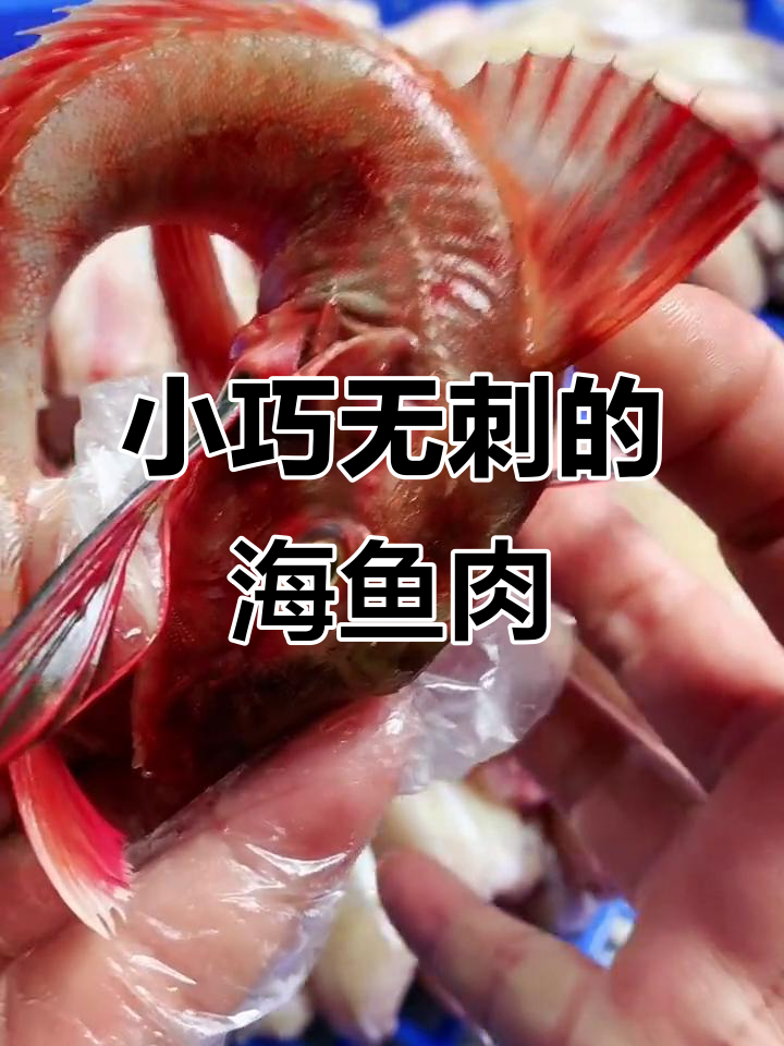 纯野生小海鱼，无刺肉质鲜美，适合小孩食用