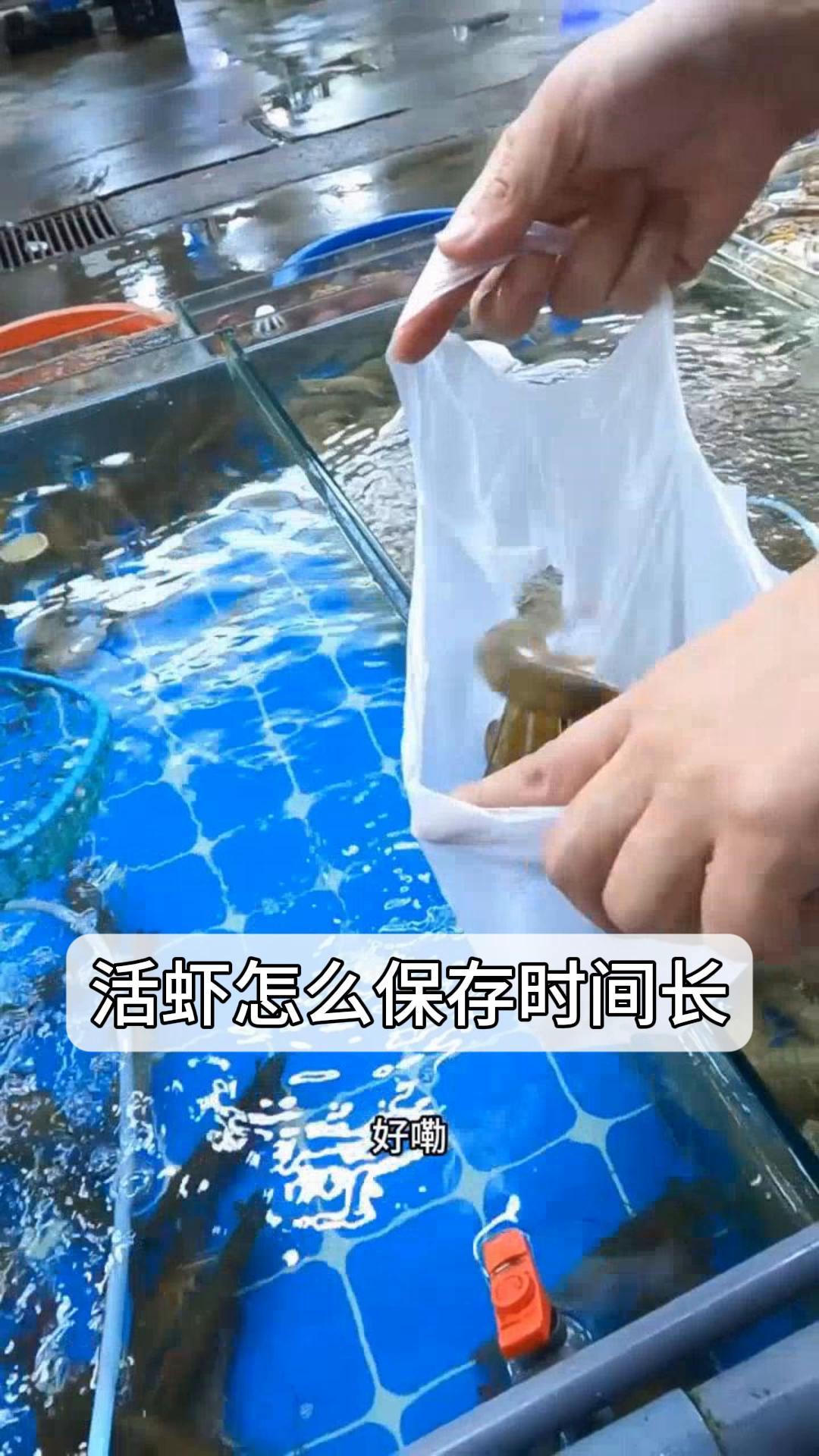 活虾怎么保存时间长