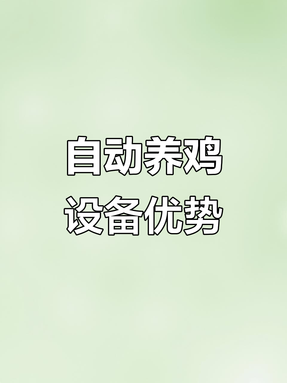 自动化养鸡设备助力现代养殖,降低人力成本