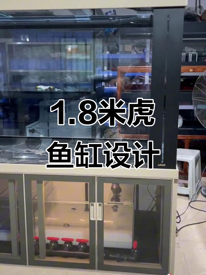 1.8米虎鱼缸制作,打造震撼龙缸效果