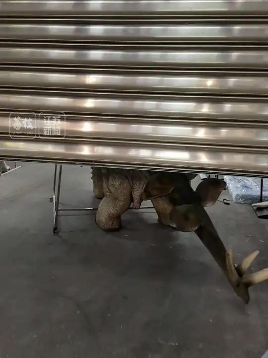 恐龙特工队携手砂锅鱼头出战“苏超” “苏超”常州队主场迎战南京队,大战前几小时,“恐龙特工