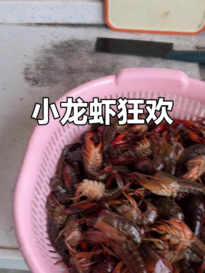 夏日必备小龙虾,麻辣、香辣任选,尽享海鲜盛宴!