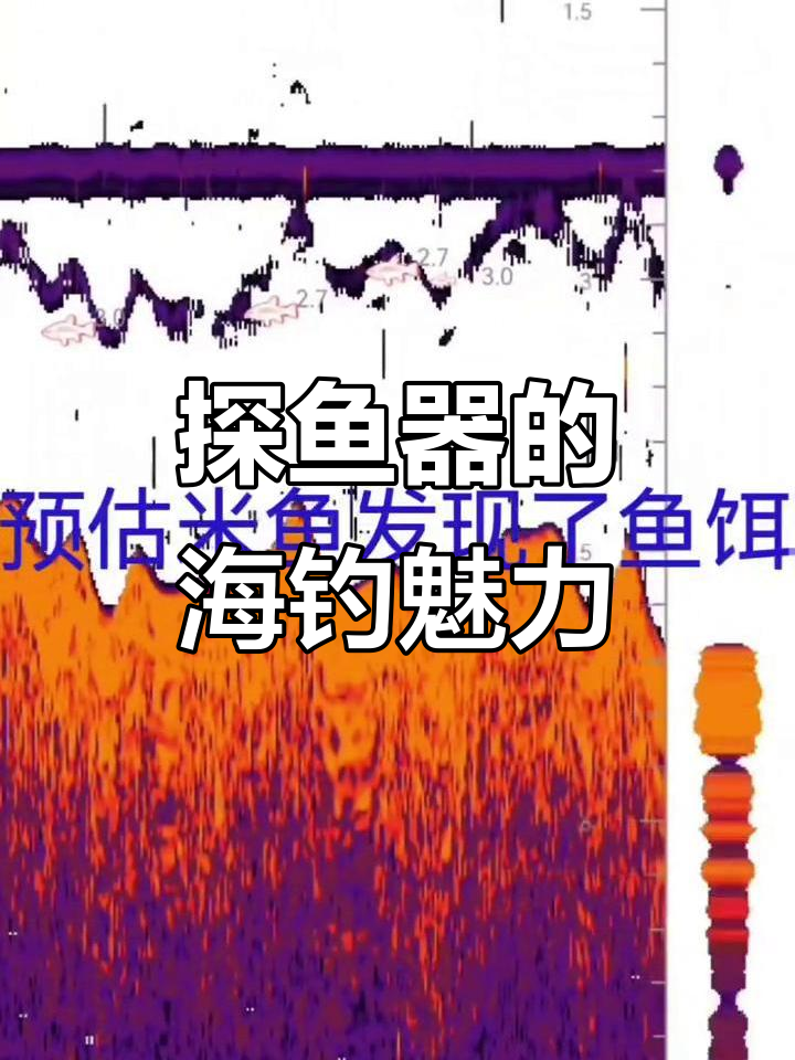海钓探鱼器大揭秘,原来这么有趣!