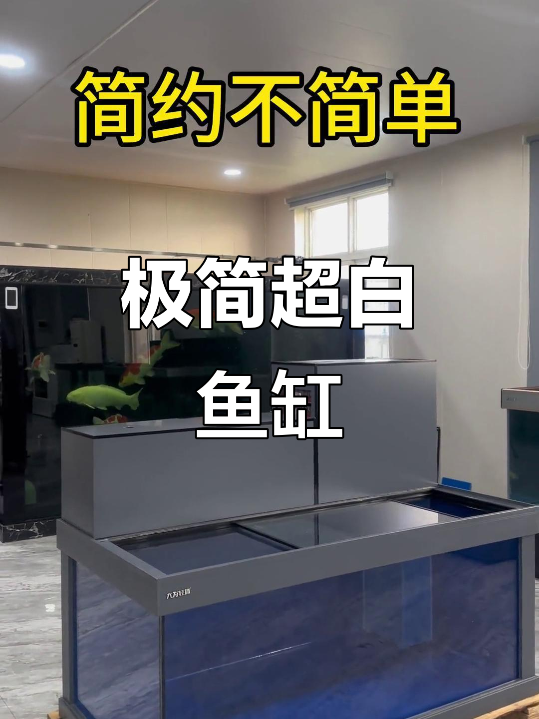 超白鱼缸设计揭秘：轻体上滤款，细节全解析