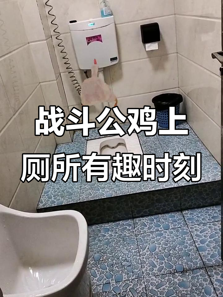 公鸡上厕所的搞笑瞬间,竟然这么认真!