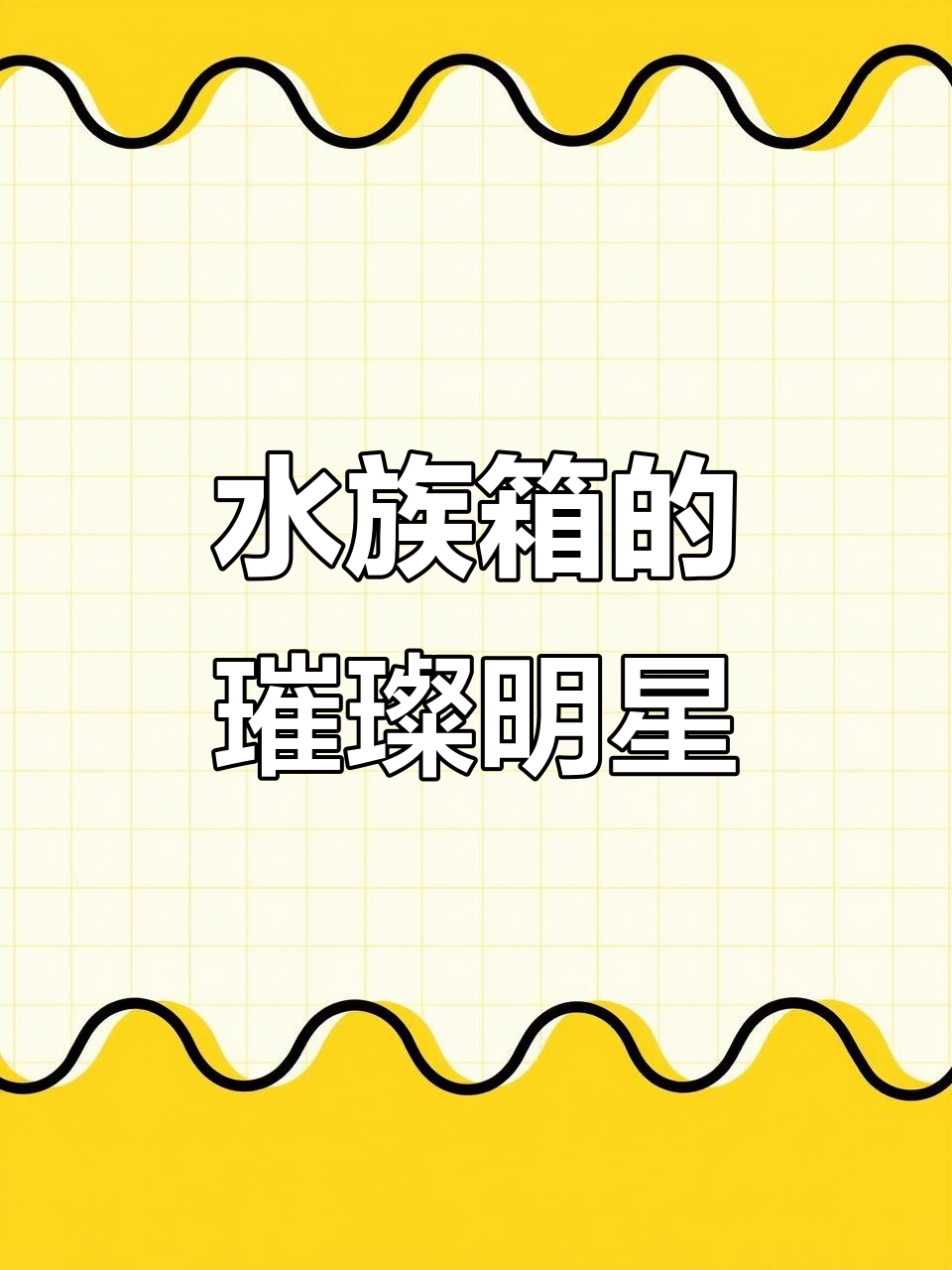 蓝魔神仙鱼,美丽又易养的水草缸宠物