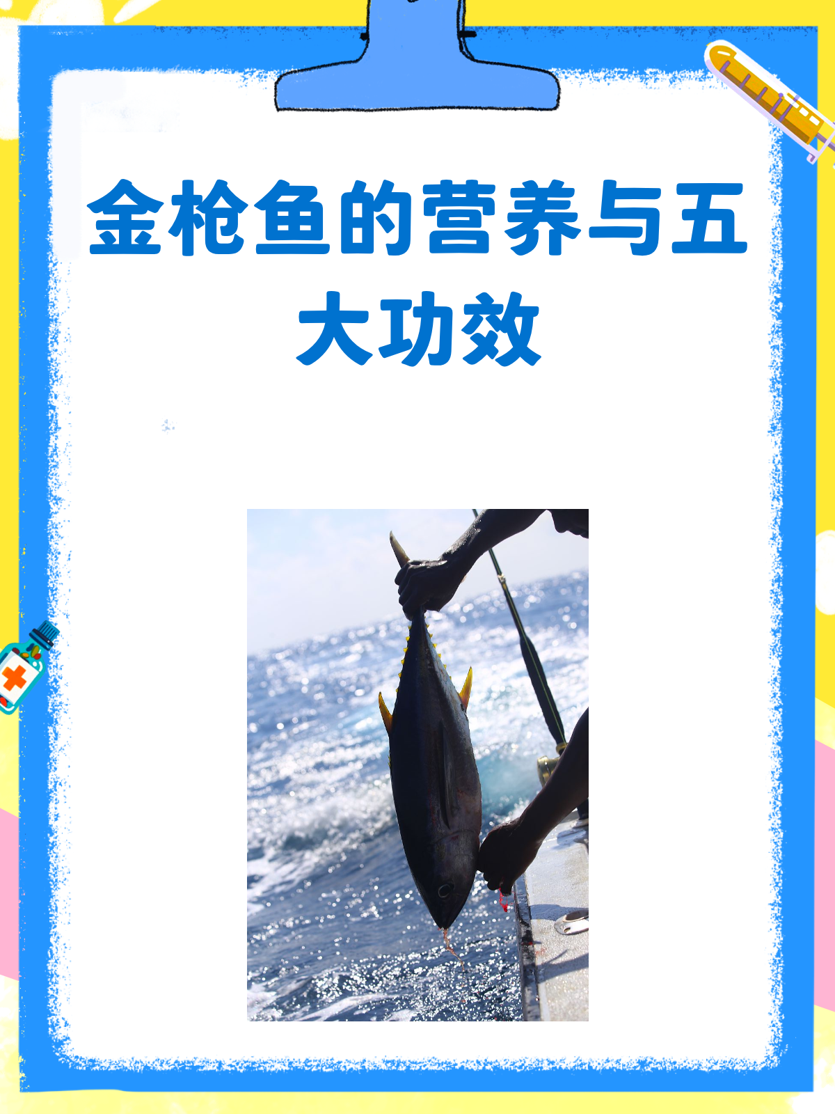 金枪鱼:营养满满,功效多多的海中瑰宝!