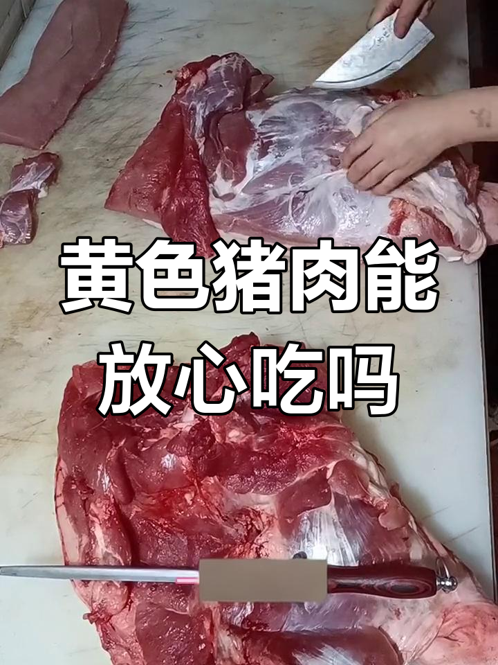 黄膘猪能吃吗?