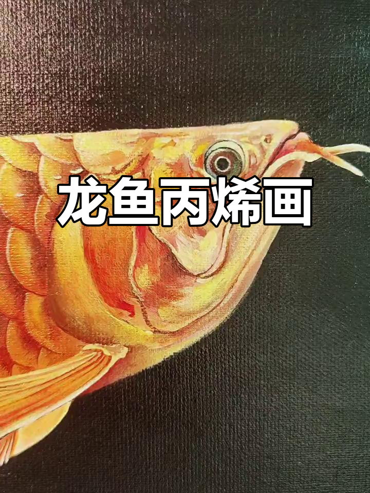 丙烯画龙鱼手绘,细节满分!
