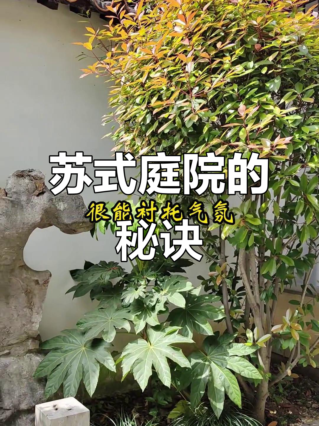 如何设计苏式庭院,让围墙成为一幅流动的风景画?