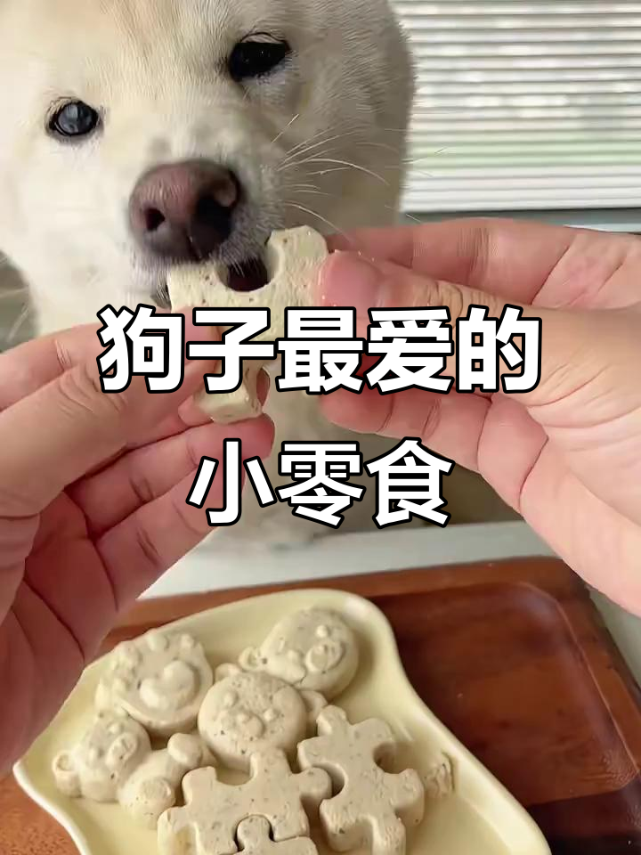 用鸡胸肉、雪梨和红枣做狗狗蒸糕,润肺又美味