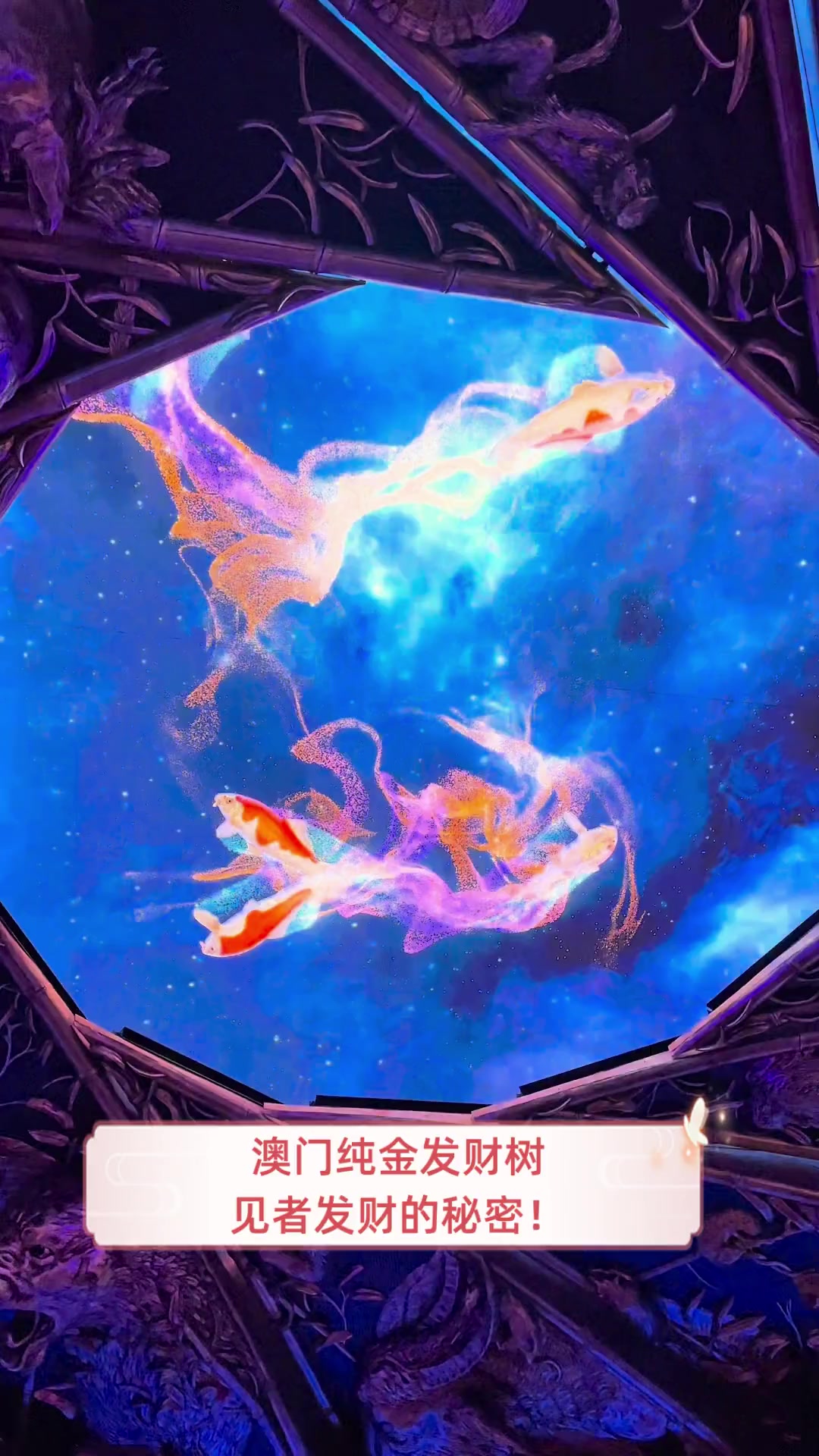 澳门纯金发财树,见者发财的秘密!
