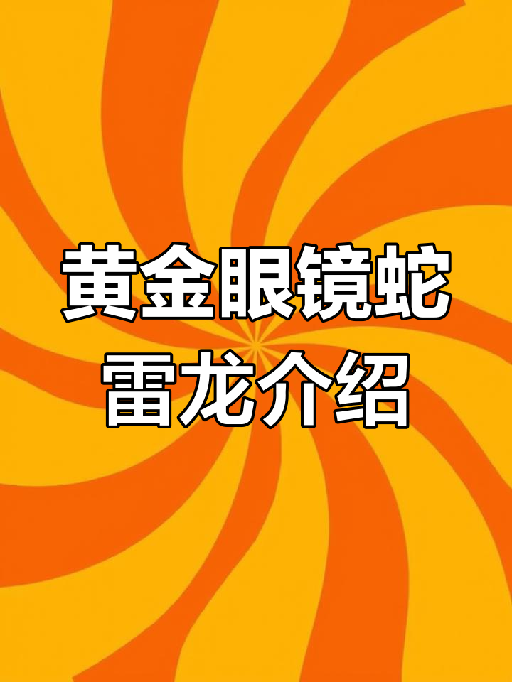 黄金眼镜蛇雷龙:美丽与凶猛并存的亚热带观赏鱼