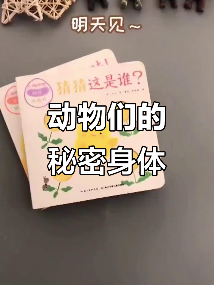 小鸡球球的毛茸茸朋友们,猜一猜它们是谁?