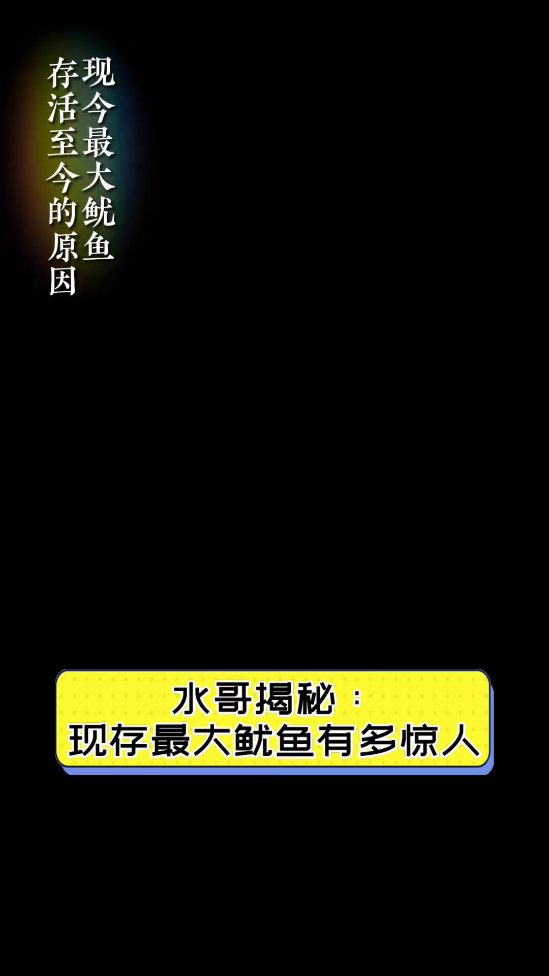 水哥揭秘:现存最大鱿鱼有多惊人