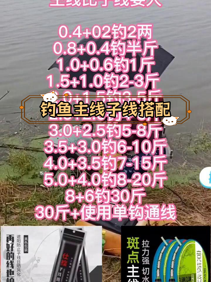 钓鱼线组与鱼钩搭配全攻略