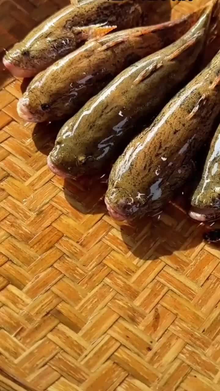「视频」丑鱼？懒鱼？是清蒸鱼王！立夏吃鱼才够味，笋壳鱼正当季，不要错过