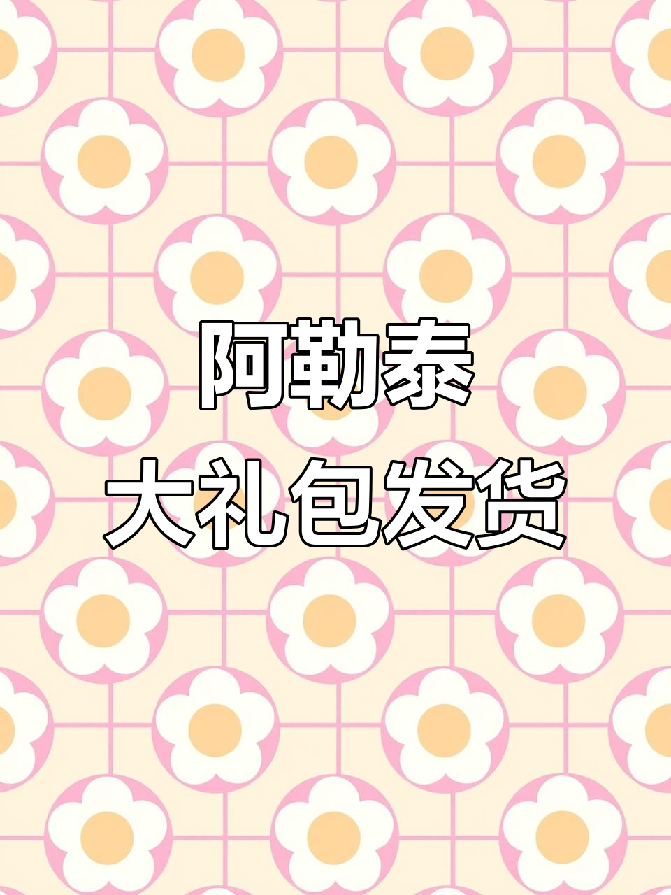 阿勒泰特产大礼包,手撕牛肉、红枣奶酪全都有