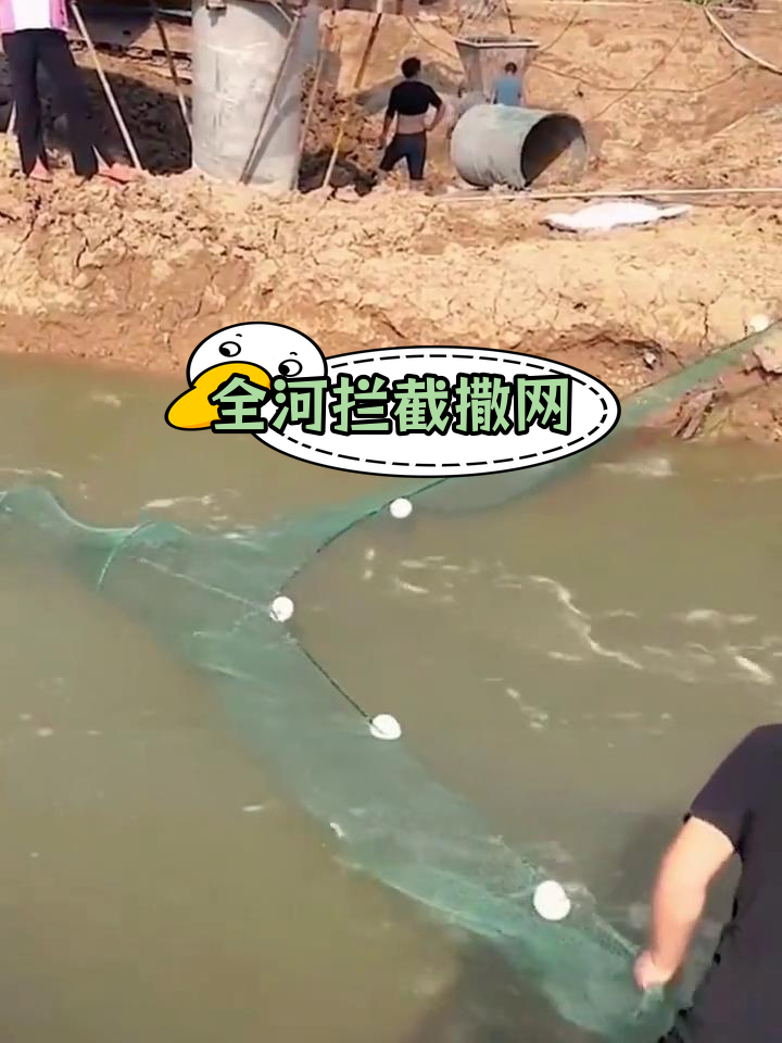 河道拦鱼网,轻松捕捞全河鱼类